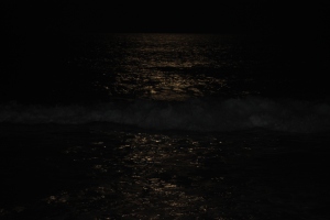 moonlight on ocean