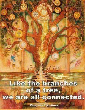 Tree of Life We are all one